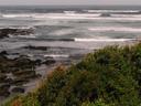 Wild surf.